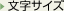 �����T�C�Y